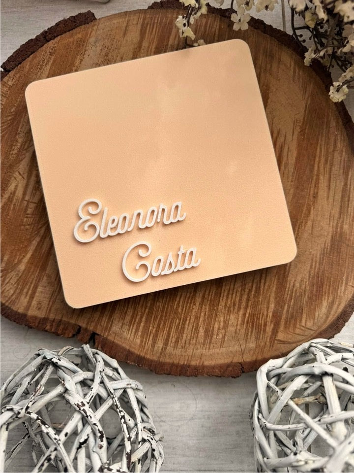 Paleta úmida personalizada